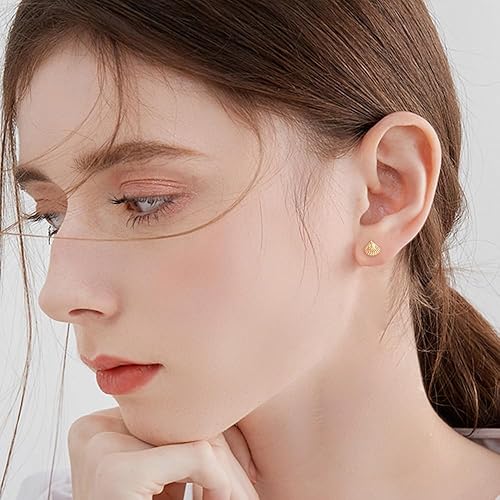 Small Seashell Stud Earrings for Women Minimalist