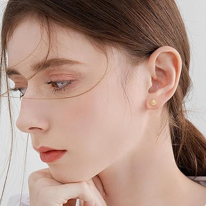 Small Seashell Stud Earrings for Women Minimalist