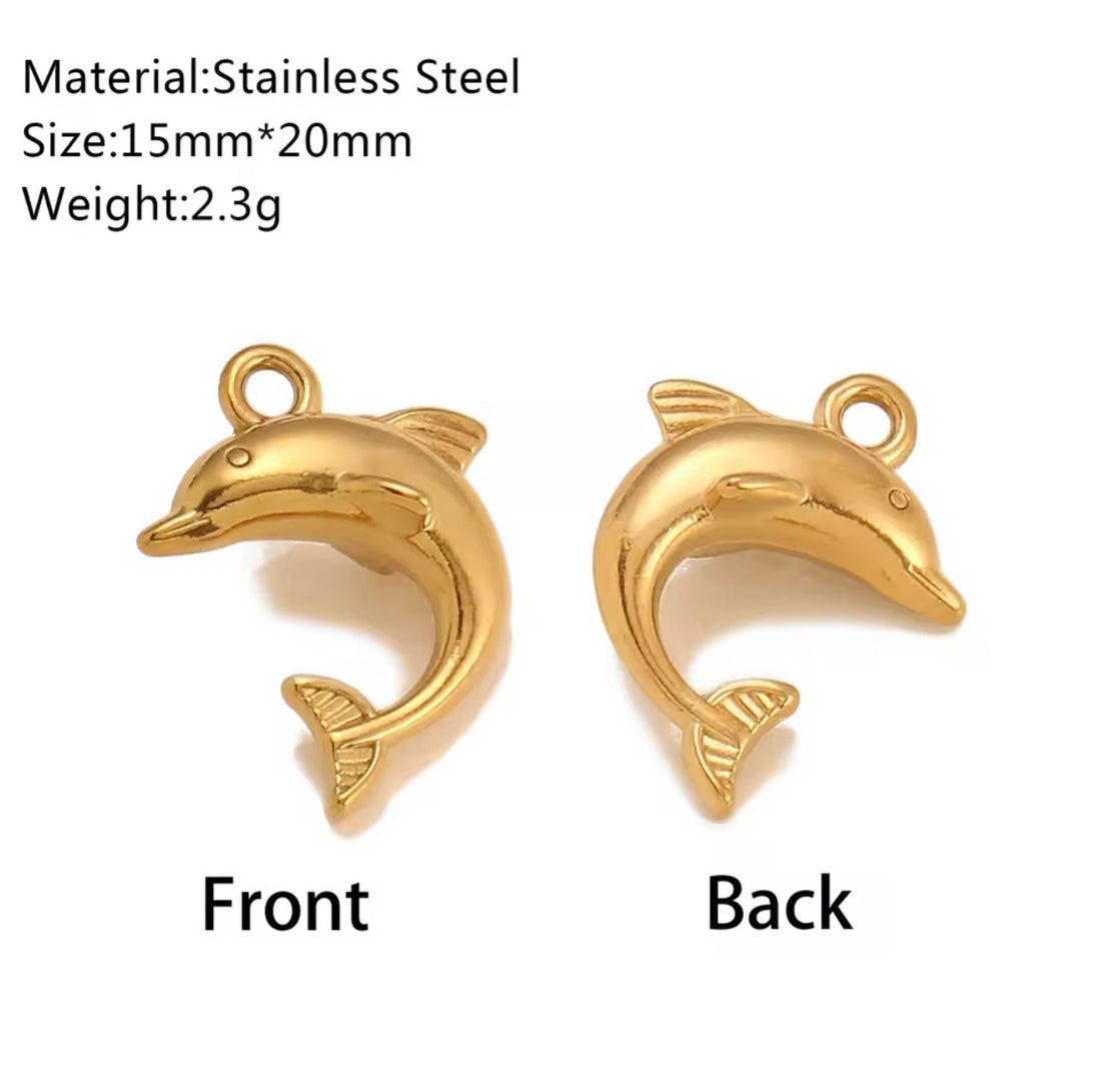 Dolphins charm