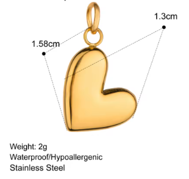 Heart style 2 Charm